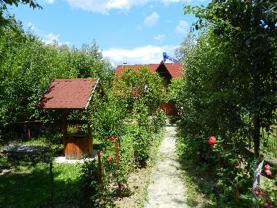 Pensiunea Cabana cu Flori, Calimanesti, judetul Valcea