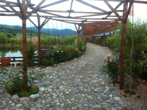 Pensiunea Belvedere Yachtclub, Berzasca, judetul Caras Severin