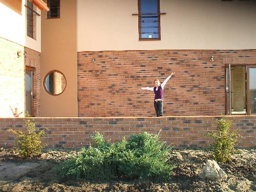 Pensiunea Casa Celia, Bucovat, judetul Timis